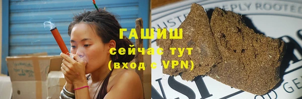 spice Богородицк