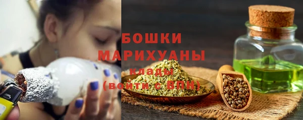 spice Богородицк