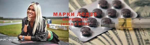 spice Богородицк