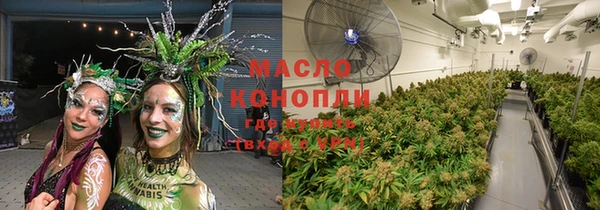spice Богородицк