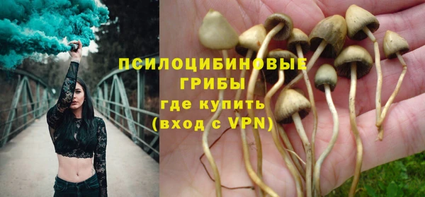 ALPHA PVP Богданович