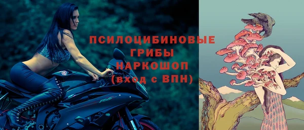 синтетический гашиш Богородск