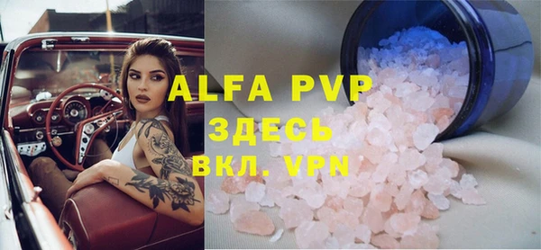 spice Богородицк