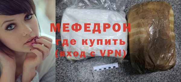 spice Богородицк