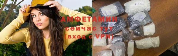 spice Богородицк