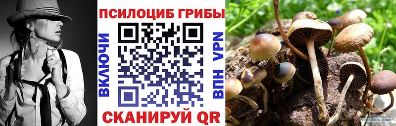даркнет какой сайт  Светлогорск  Псилоцибиновые грибы прущие грибы  закладка 